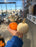 Pumpkin Live - Mini