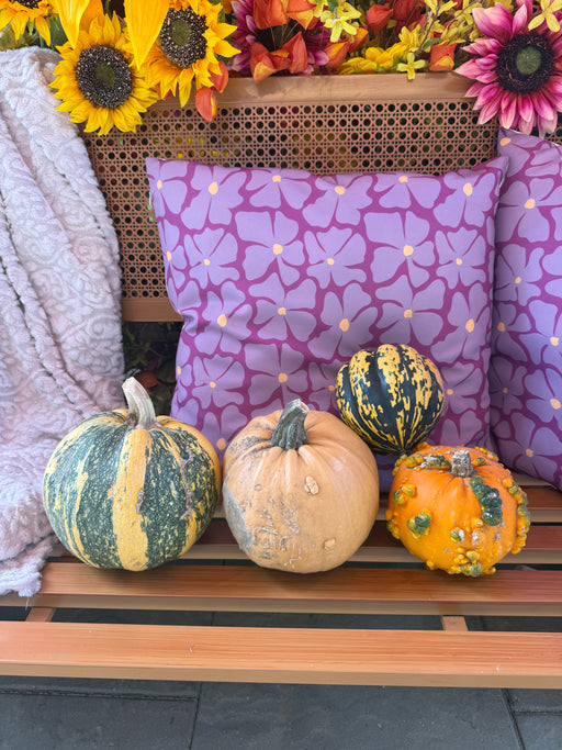 Pumpkin Live - Mini specialty