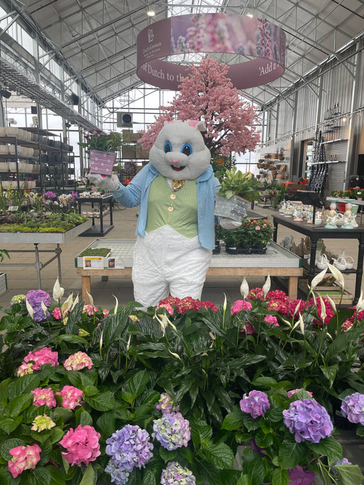Make & Take Easter Planter