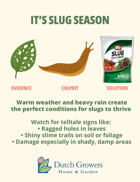 Slug B Gon
