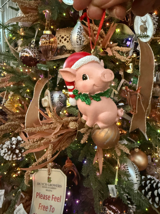 Orn Pig w/Santa Hat