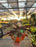 Dried Floral Pumpkin Workshop