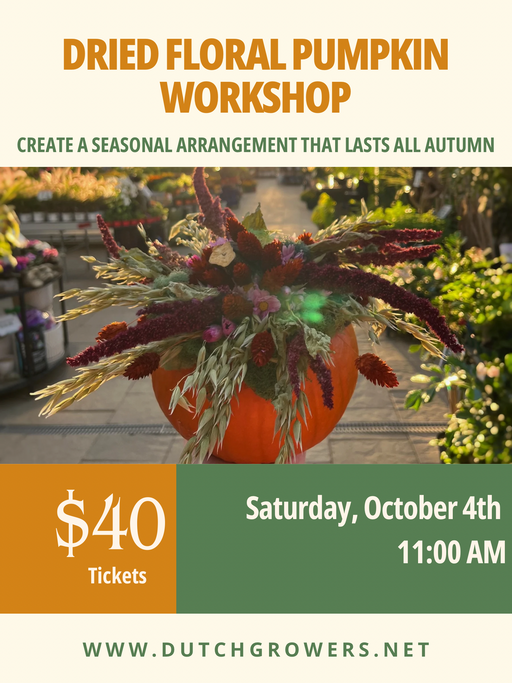 Dried Floral Pumpkin Workshop