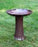 Birdbath Ella 19.75"x22" 4 Colours