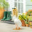 Giddy the Goose Accessory Set-Fashion Icon