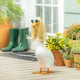 Giddy the Goose Accessory Set-Fashion Icon
