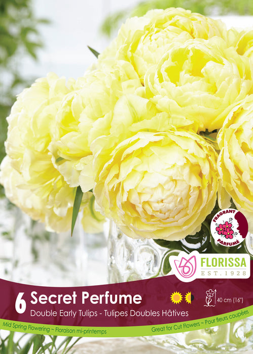 Tulip Secret Perfume
