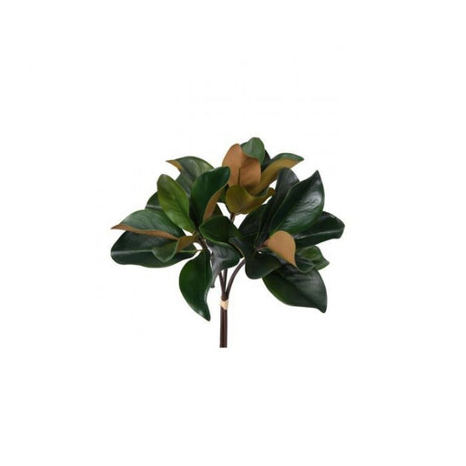Magnolia Bundle 18" Grn