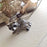 "Bandito" Porcelain Raccoon Pendant Necklace