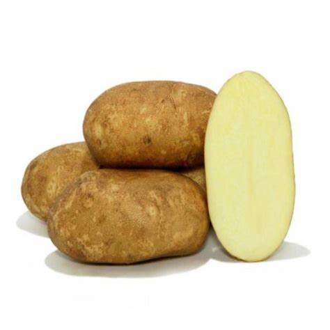 Seed Potato - Goldrush 10 lb White
