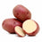 Seed Potato - Red Pontiac 10 lb