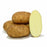 Seed Potato - Goldrush 5lb White