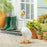 Giddy The Goose Accessory Set, Goose Lashes