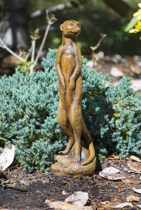 Meerkat Statuary