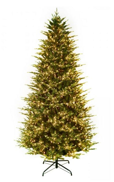 Tree Kensington Fir 9' Lit 62"