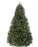 Tree 5' Col. Spruce Clear 350L