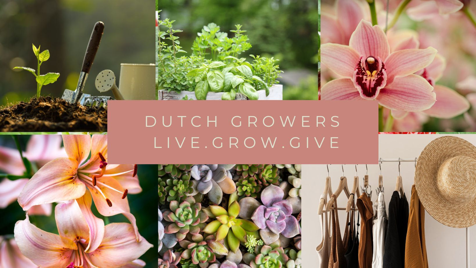 Dutch Growers Home & Garden Photos