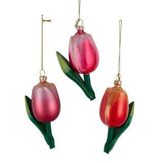 Orn Tulip