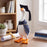 Gordy Goose Accessory Set-Graduation