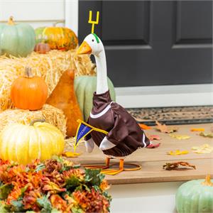 Football Post Giddy the Goose Outfit