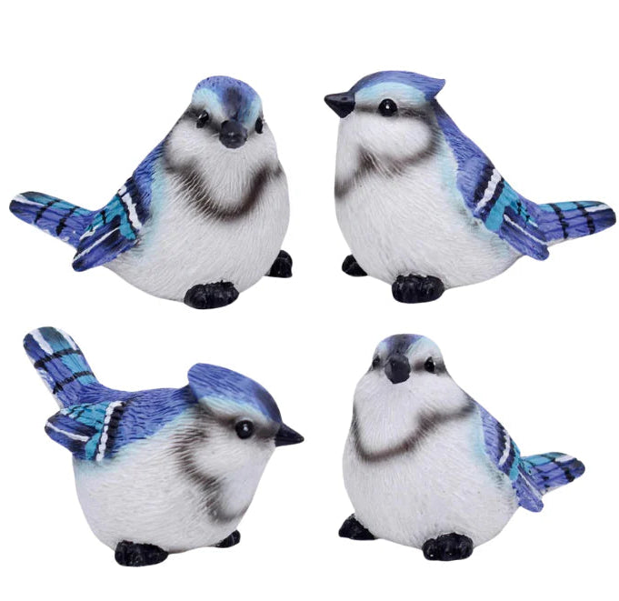 Blue Birds Mini