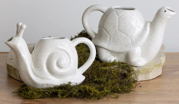 Watering Pitcher Turtle/Snail