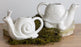 Watering Pitcher Turtle/Snail