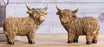 Highland Cow 6"