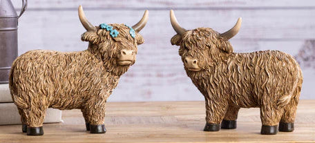 Highland Cow 6"