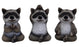 Raccoon Yoga 3.5"