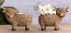 Planter Highland Cow 7.5"
