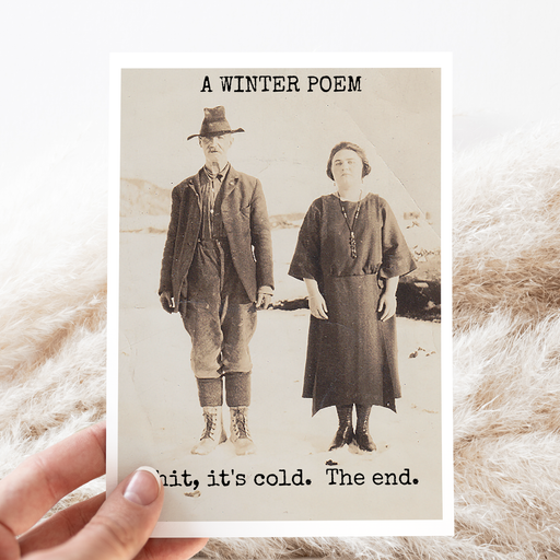 FunnyChristmas Card. A WINTER POEM. Shit, It's Cold. The End
