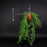 Bolty – Hanging planter system for plant pots