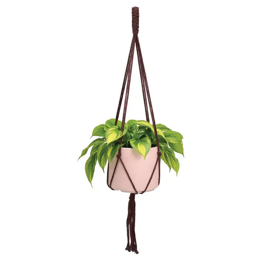 Minimal Plant Hanger Mcarame