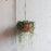 Bolty – Hanging planter system for plant pots