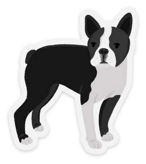 Clear Boston Terrier Dog Sticker 2.46×2.8in