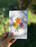 ASST Greeting Cards, Handcrafted paper Flower cards