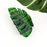 Tropical Monstera Leaf Hair Claw Clip