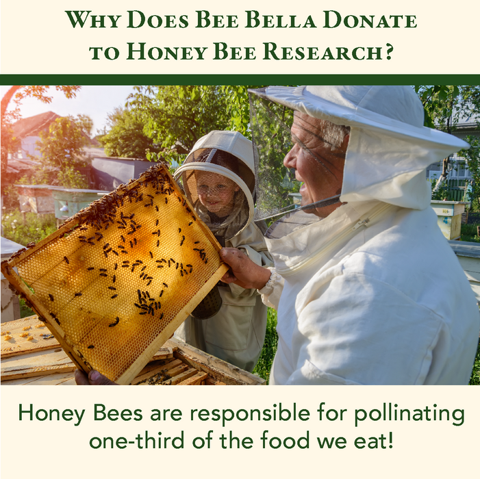 Bee Bella Bee Wax Lip Balm Pomegranate & Mango Lip Balm