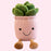 8" Smiling Succulent Plush - Home/Office Decoration