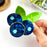 Blueberry Hair Claw Clip, Acetate Fruit Hair Clip