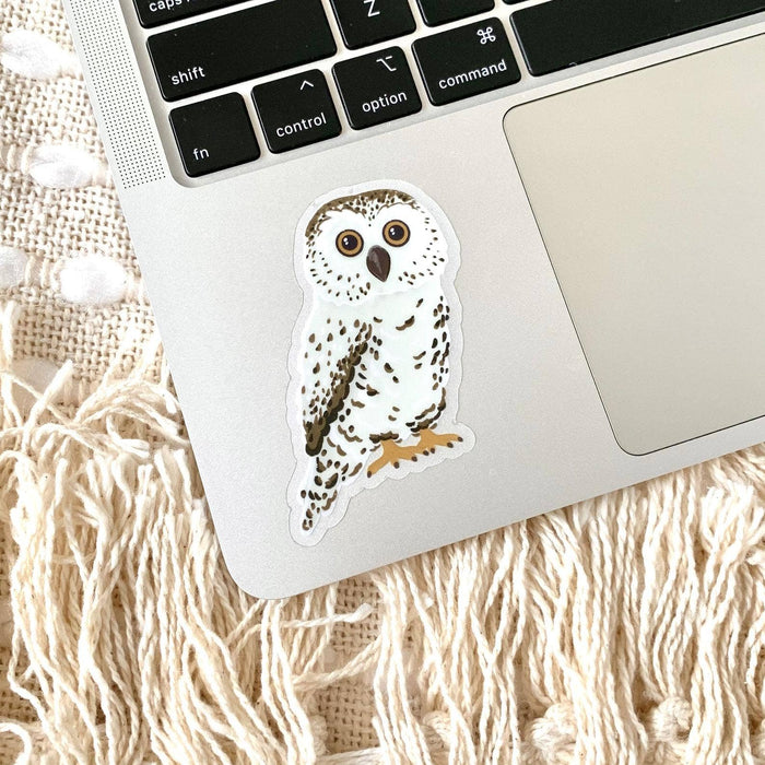 Clear Owl Sticker 3.25x2in