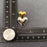 Two Tone Heart 18K Gold Plated S.Steel Post Earrings - FGS