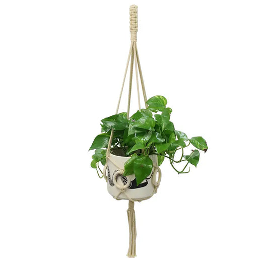 Plant Hanger w/ Wood Rings
