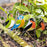 British Garden Birds Suncatcher Stakes