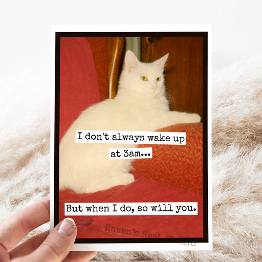 Funny Greeting Card. I Don't Always Wake Up at 3am... Cat