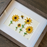 Sunflower Quilled Art, Paper Quilling Framed Wall Art