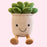 8" Smiling Succulent Plush - Home/Office Decoration