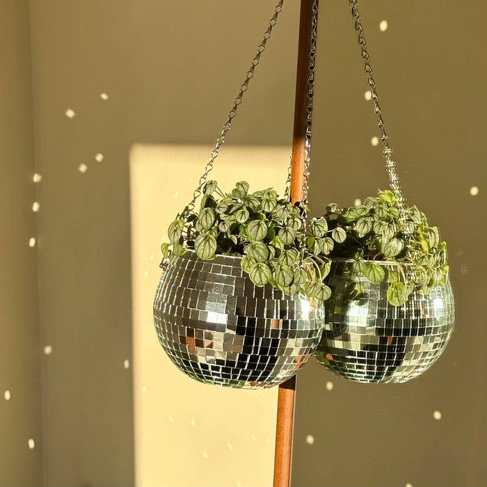 Filtrum Home - Disco Ball Planter: 4"