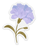 Lilac Carnation Sticker 2.3x3in